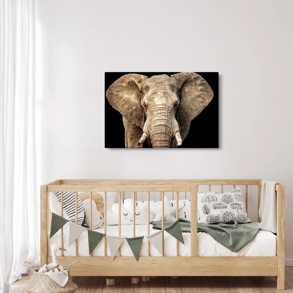 Tablou - Elefant african (90x60 cm)