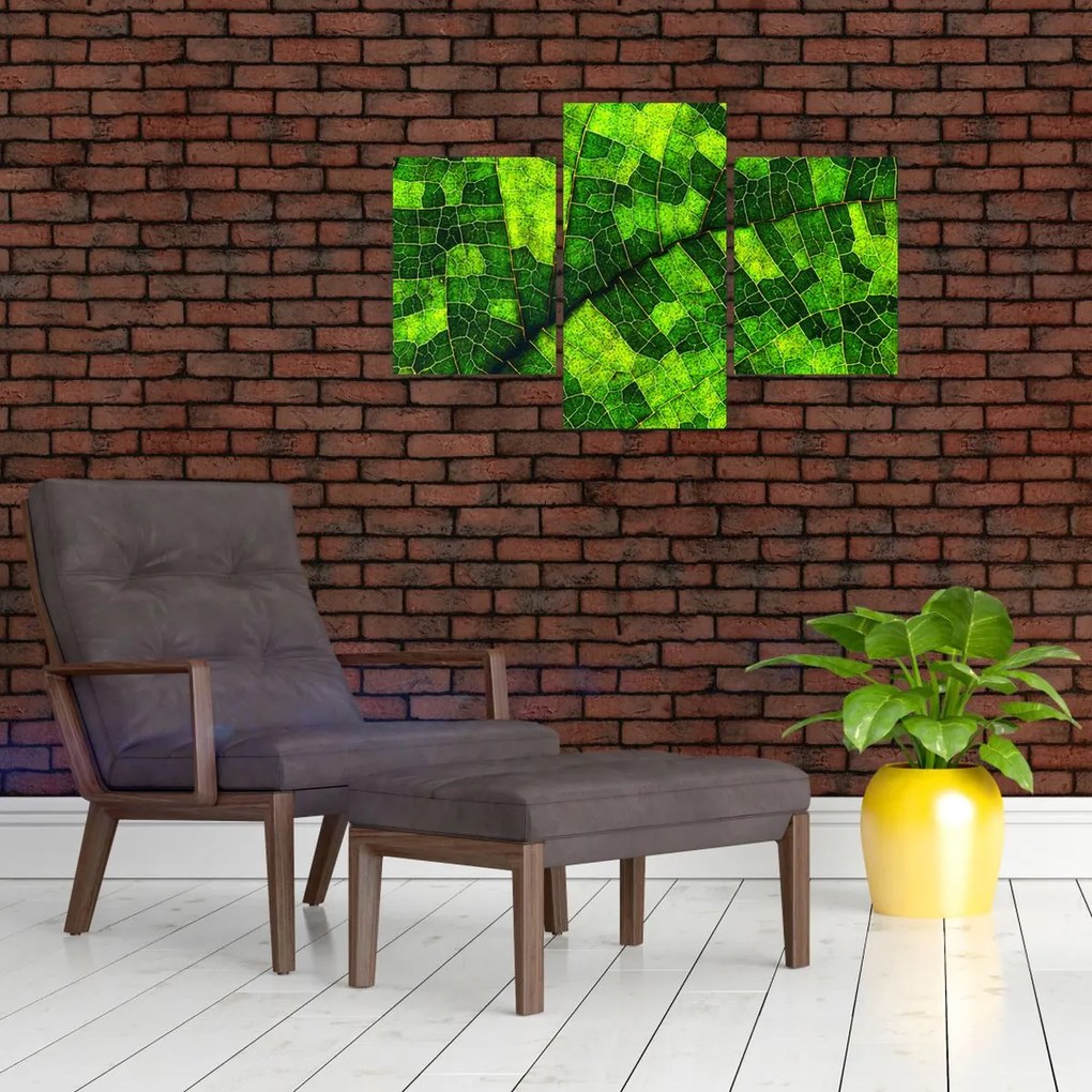 Tablou - Detaliu frunze (90x60 cm)