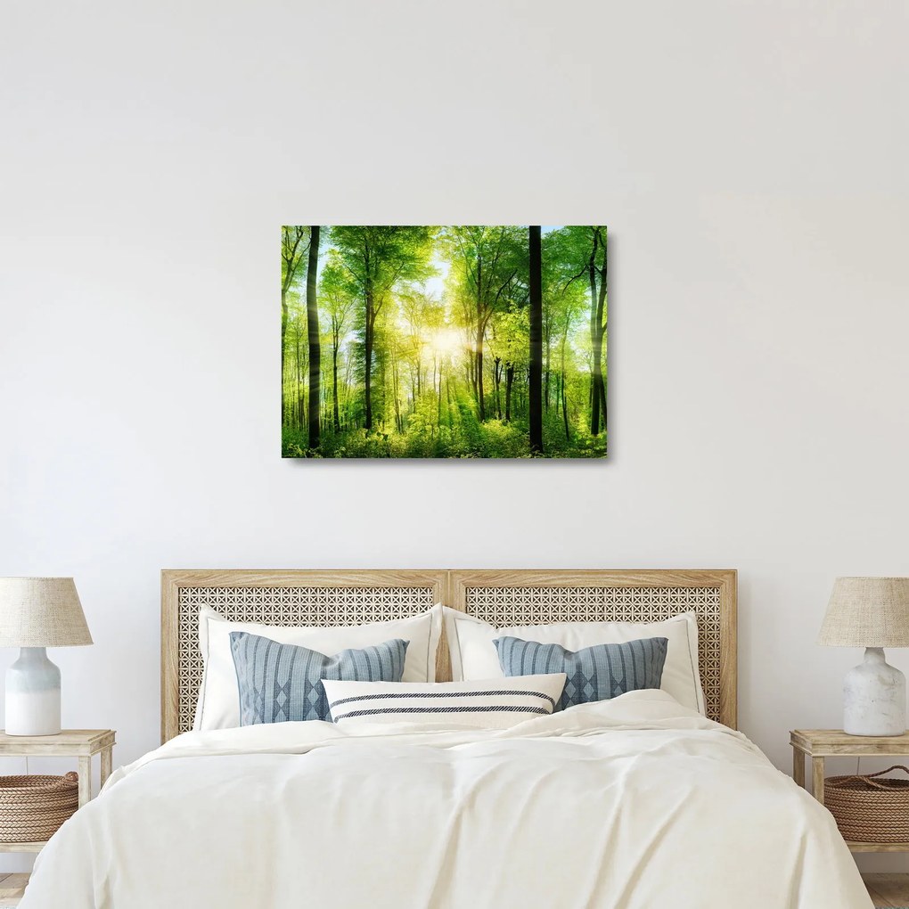 Tablou pe sticlă - Răsărit în pădure (70x50 cm)