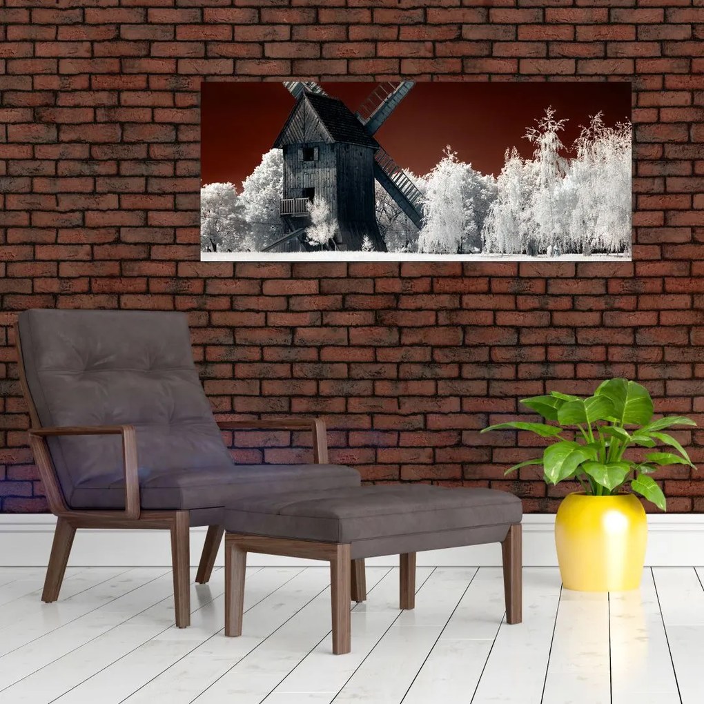 Tablou cu moară (120x50 cm)