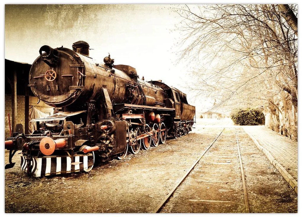 Tablou - Locomotiva istorică (70x50 cm)
