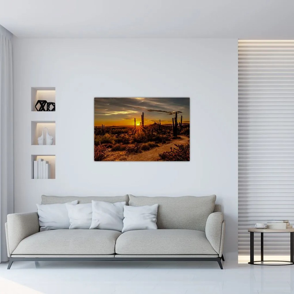 Tablou - Sfărșit de zi în deșertul Arizona (90x60 cm)