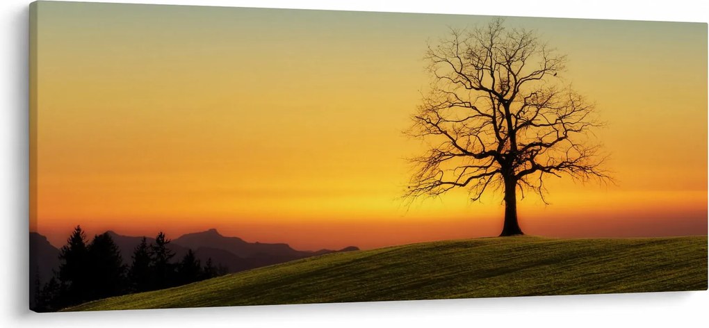 Tablou - Copacul în câmp (120x50 cm)