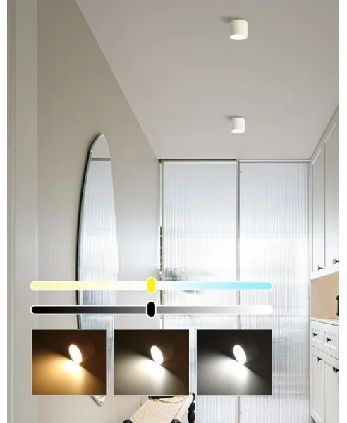 Immax NEO 07241L - LED RONDATE 18W/230V, 11,5 cm, Wi-Fi Tuya, stmívatelné