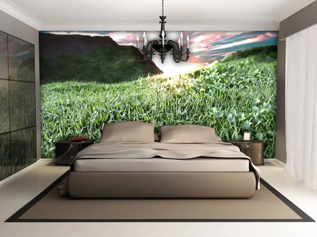 Fototapet - Iarba (152,5x104 cm)