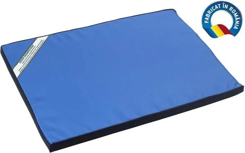 Covoras Intrare Dezinfectant 55x40x3 cm, Material Impermeabil