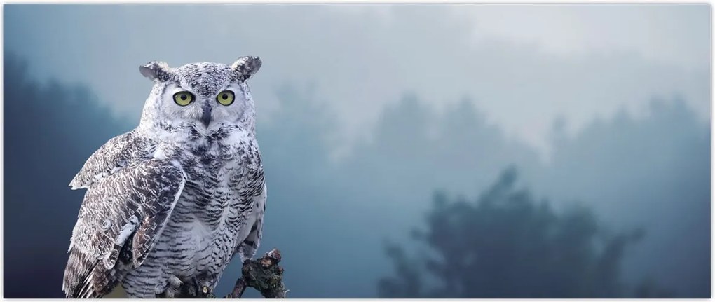 Tablou - Bufniță de zăpadă (120x50 cm)