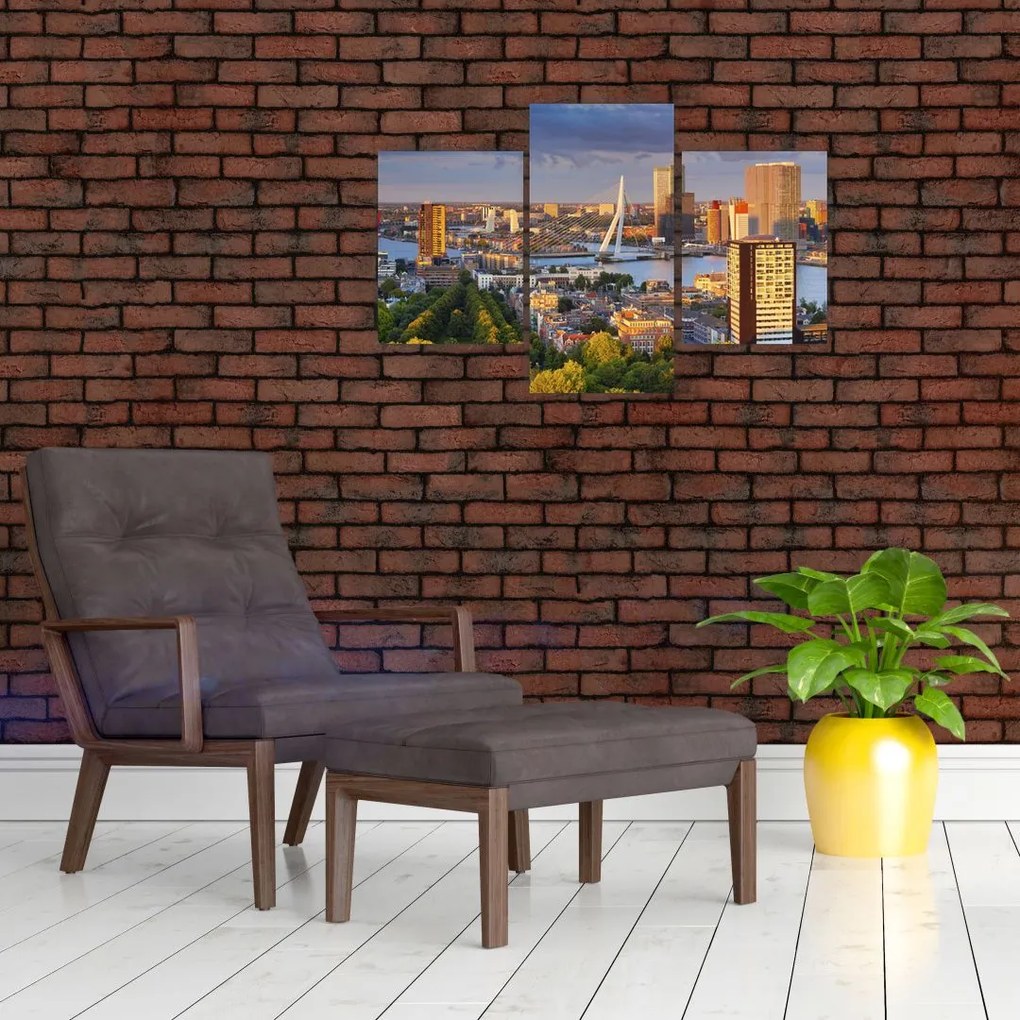 Tablou - Panorama Rotterdamului, Țările de Jos (90x60 cm)