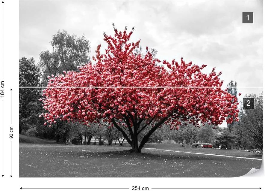 GLIX Fototapet - Red Tree Black And White Vliesová tapeta  - 254x184 cm