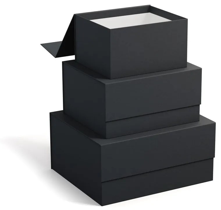 Cutii de depozitare 3 buc. din carton cu capac Ilse – Bigso Box of Sweden