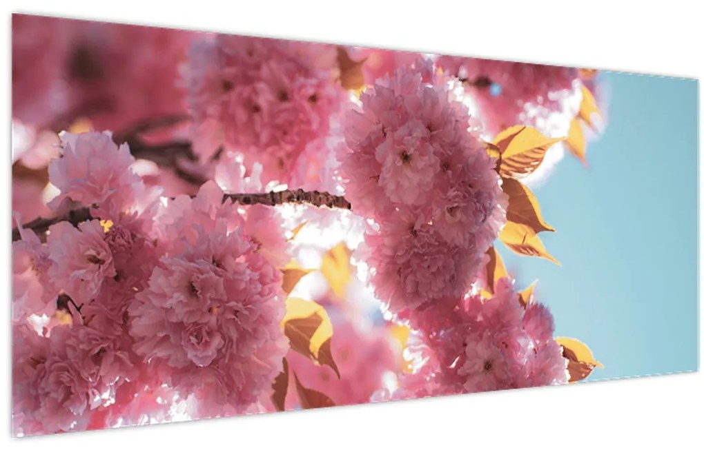 Tablou - Floare de cireș (120x50 cm)