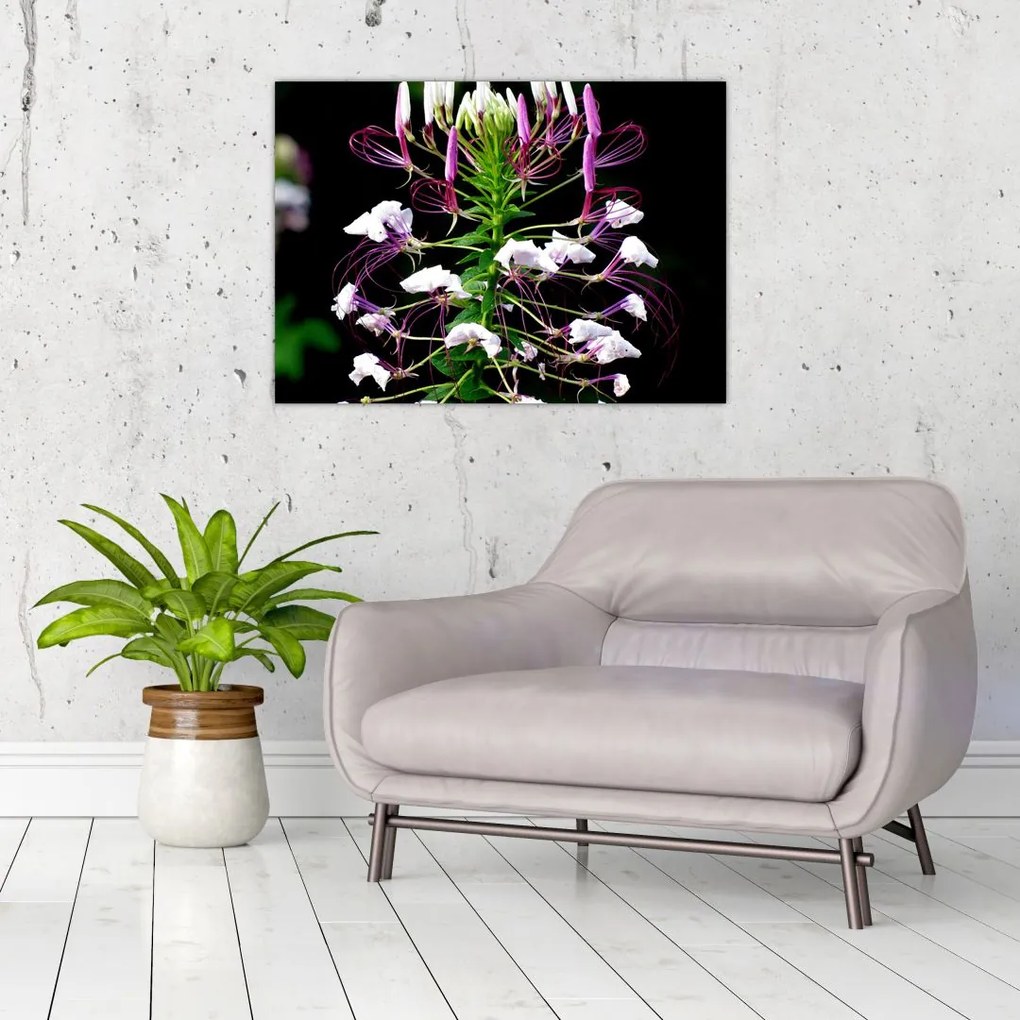 Tablou cu floare (70x50 cm)