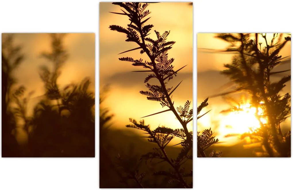 Tablou - Apus de soare (90x60 cm)