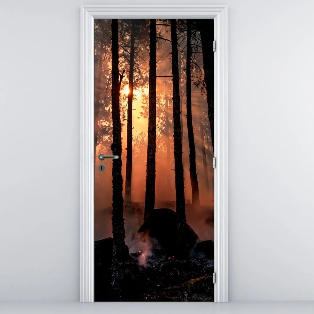 Fototapet pentru ușă - Pădurea întunecată (95x205cm)