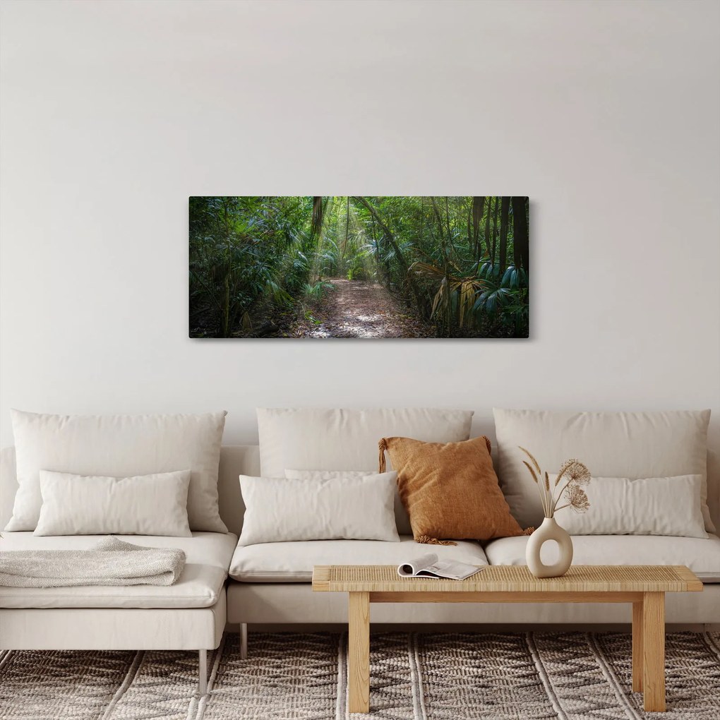 Tablou - Razele solare în junglă (120x50 cm)