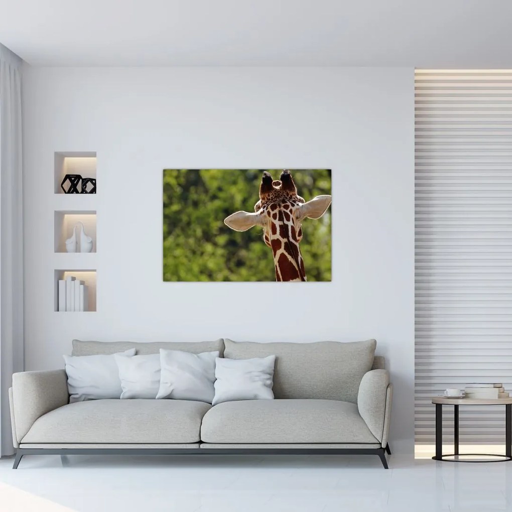 Tablou cu girafă din spate (90x60 cm)