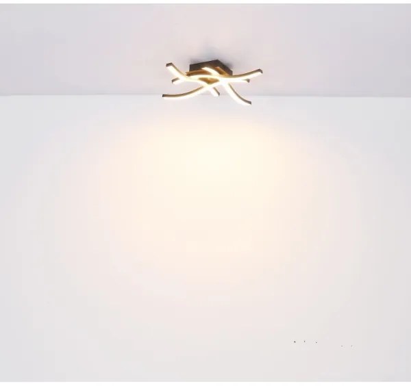 Globo 67171-20 - Lustră LED aplicată EVITA 4xLED/5W/230V