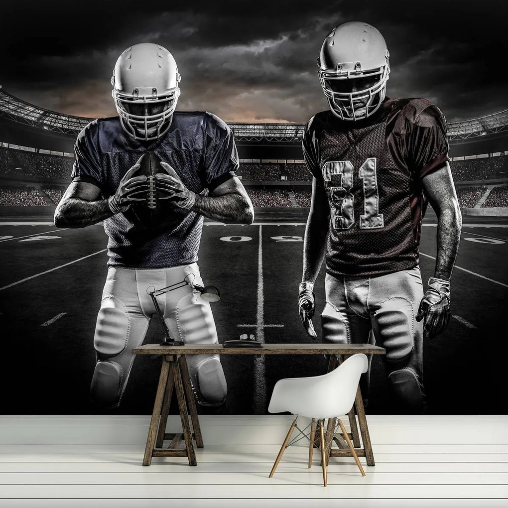 Fototapet - Stadionul de rugby (152,5x104 cm)