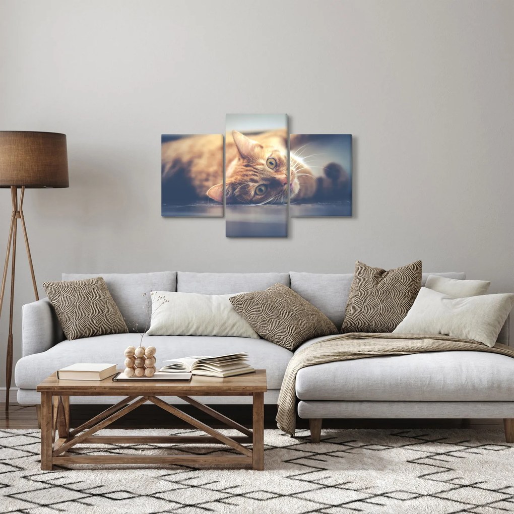 Tablou - Pisici pe podea (90x60 cm)