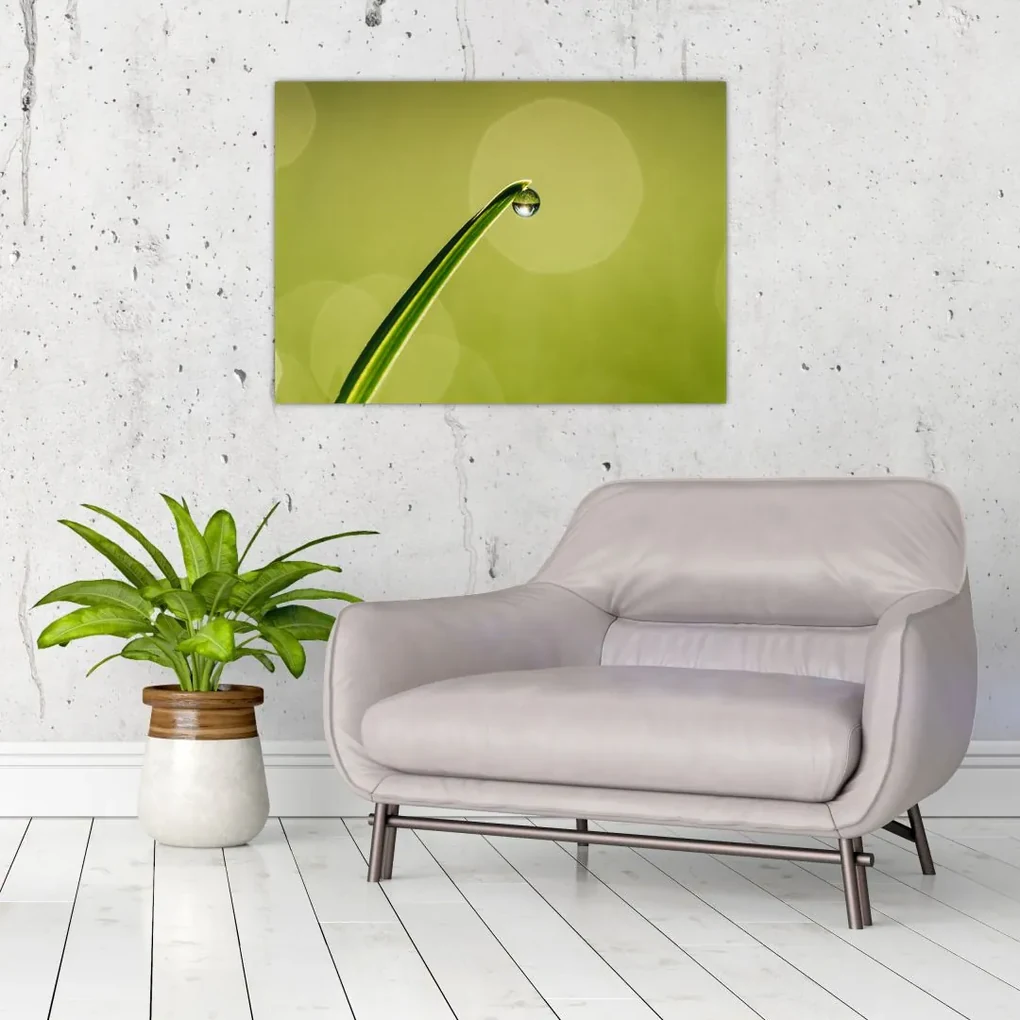 Tablou cu picătură de apă pe iarbă (70x50 cm), în 40 de alte dimensiuni noi