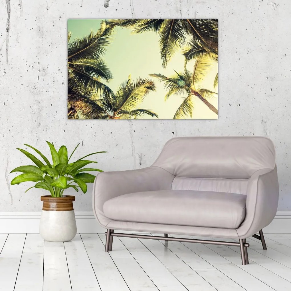 Tablou - Palmieri de cocos (90x60 cm)