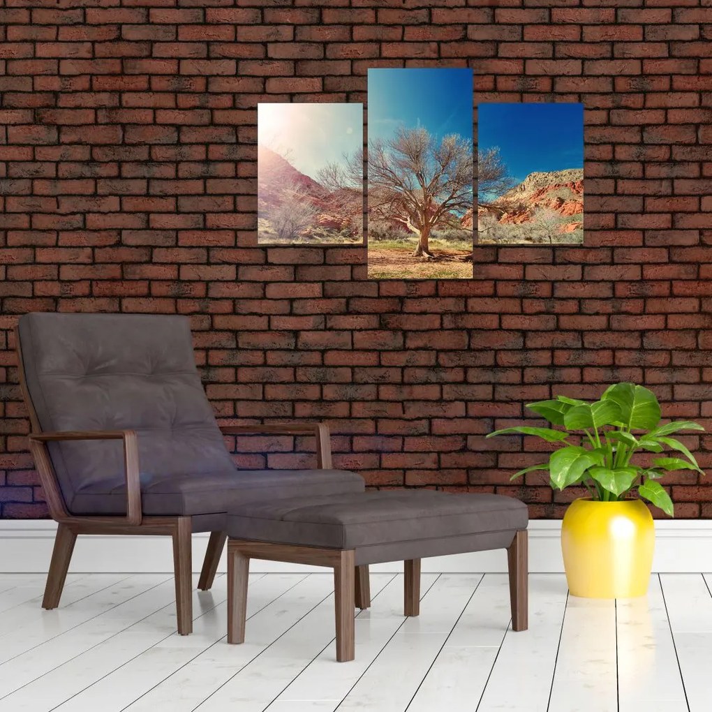 Tablou cu cu copac în deșert (90x60 cm)