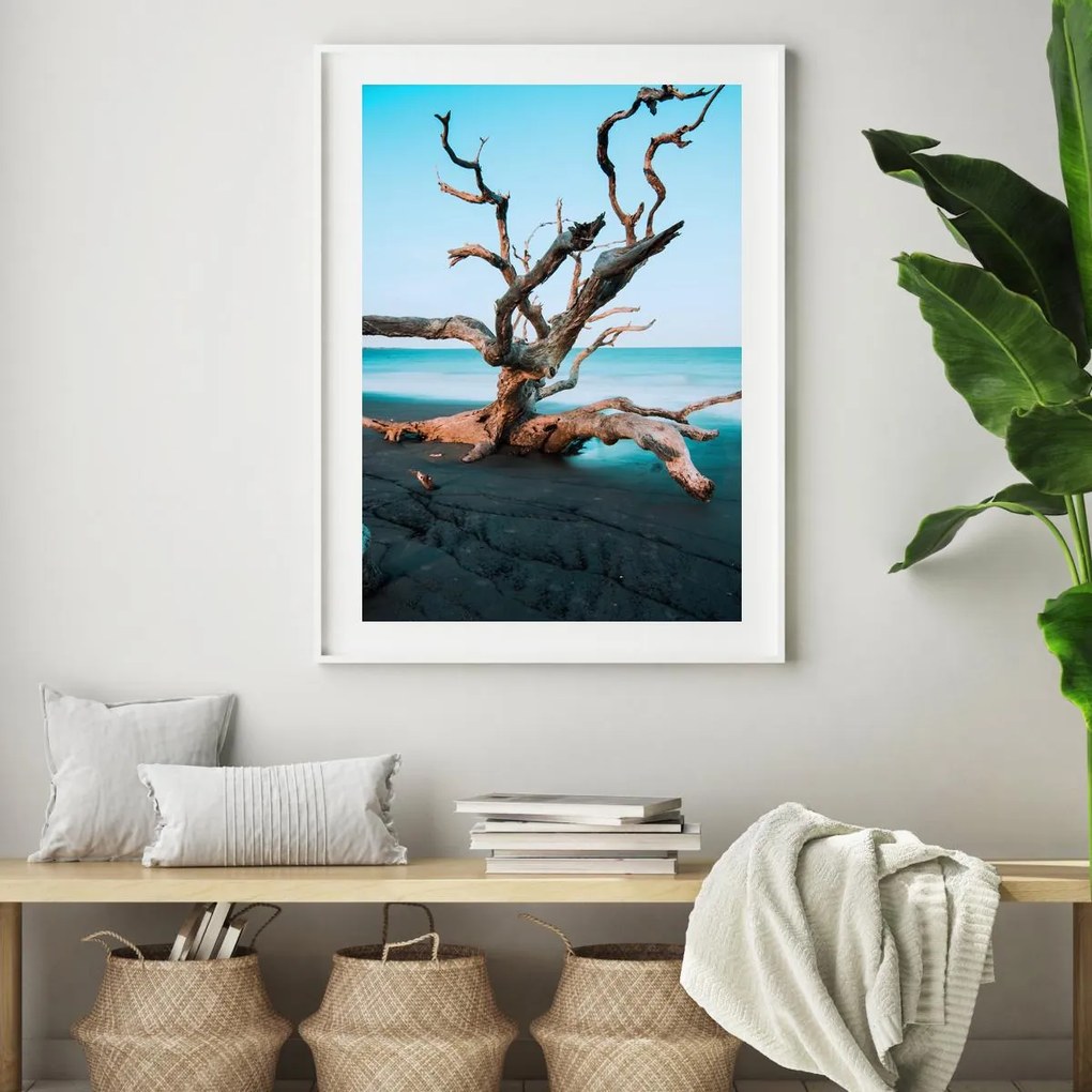 Poster - Shallow (A4)