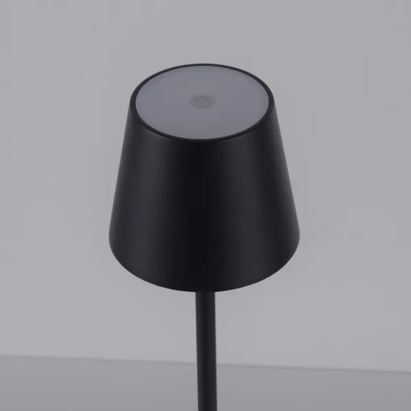 Leuchten Direkt19250-18-LED Lampă de exterior reîncărcabilă EURIA LED/3W/5V IP54