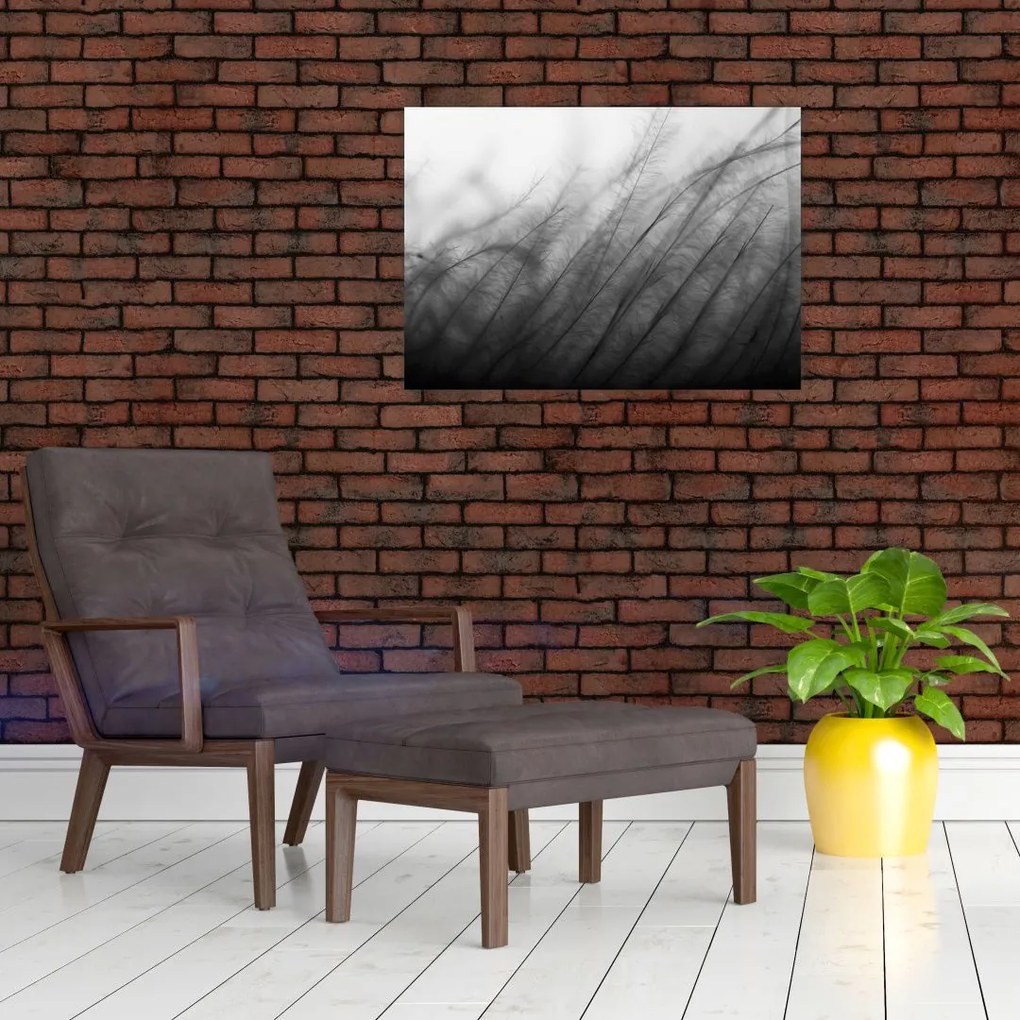 Tablou pe sticlă - Iarba în vânt (70x50 cm)