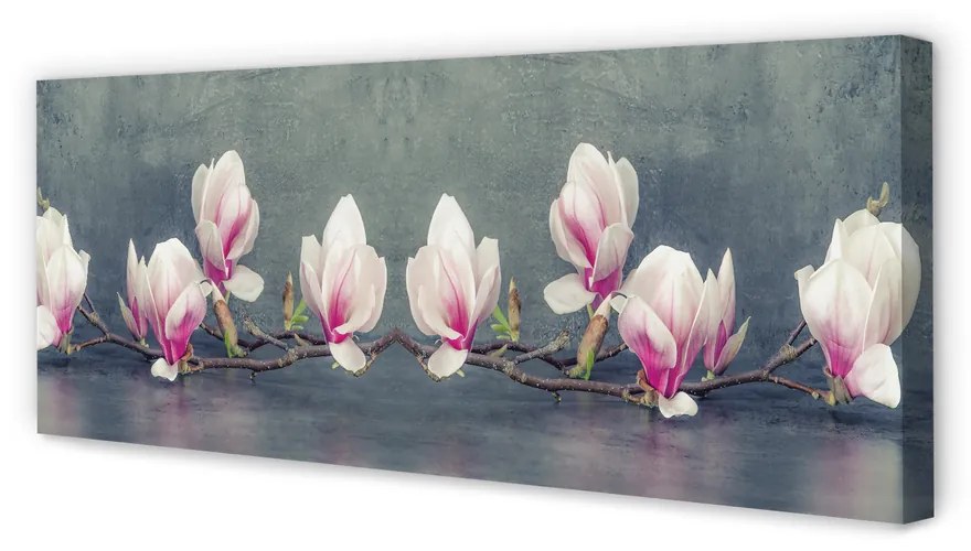 Tablouri canvas ramură de magnolie