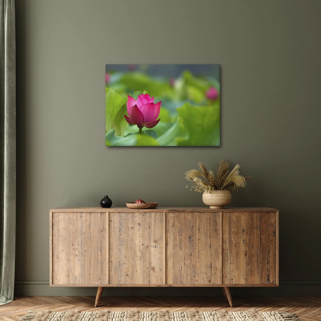 Tablou - floare de apă (70x50 cm)