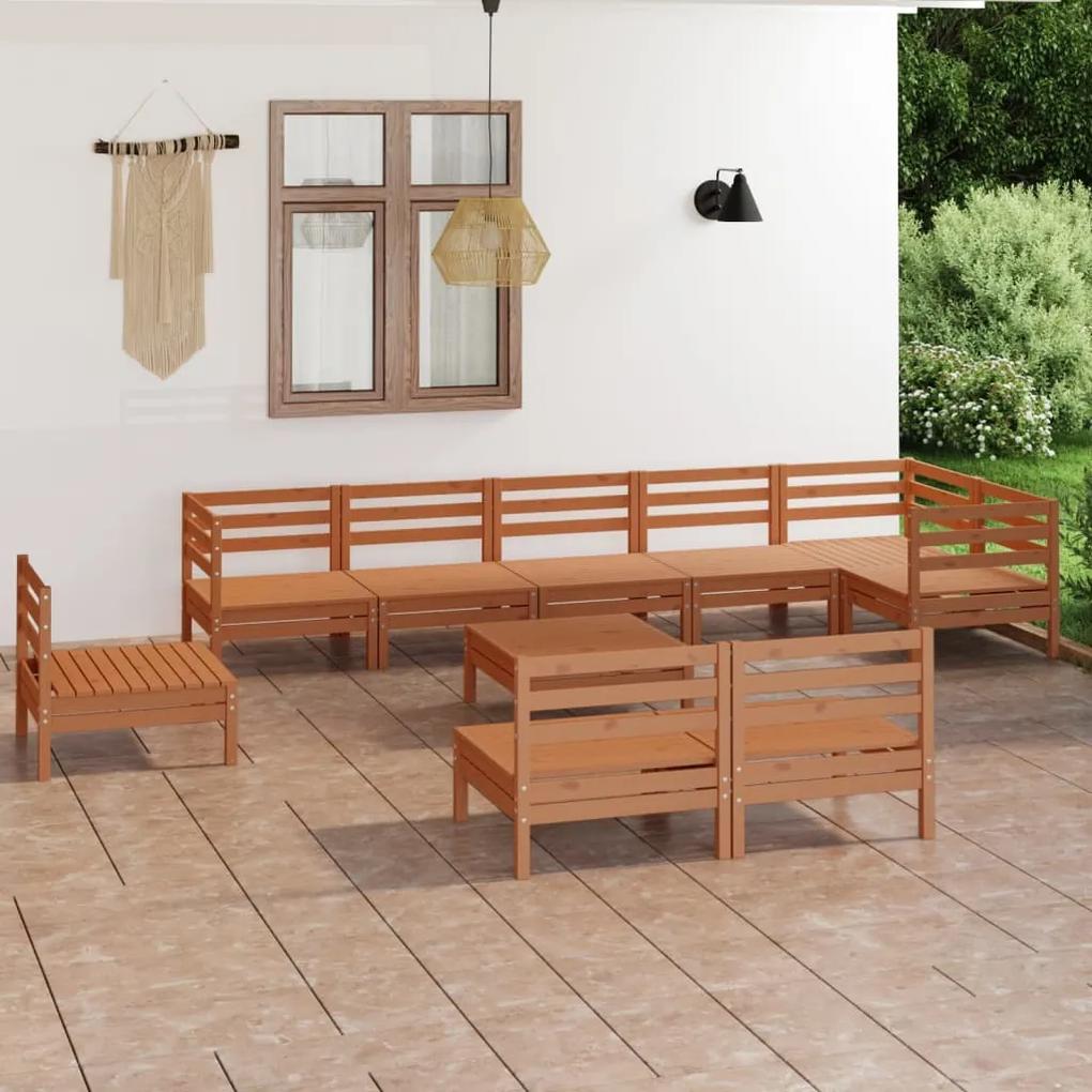 3082912 vidaXL Set mobilier de grădină, 10 piese, maro miere, lemn masiv pin
