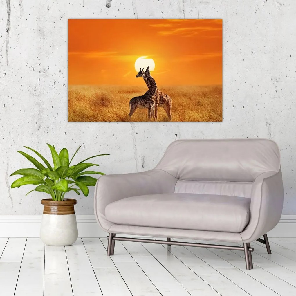 Tablou - Girafe în Parcul Național Serengeti (90x60 cm)