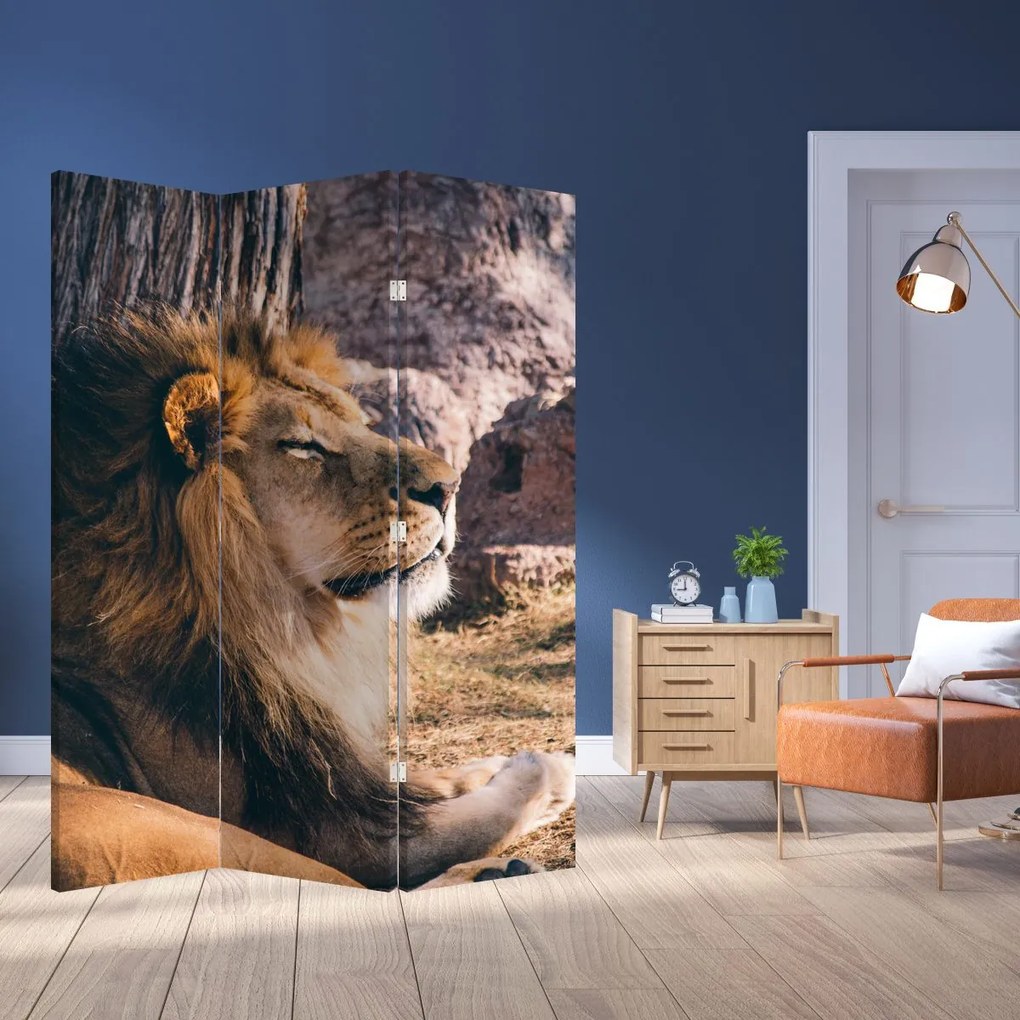 Paravan - Leul dormind (126x170 cm)