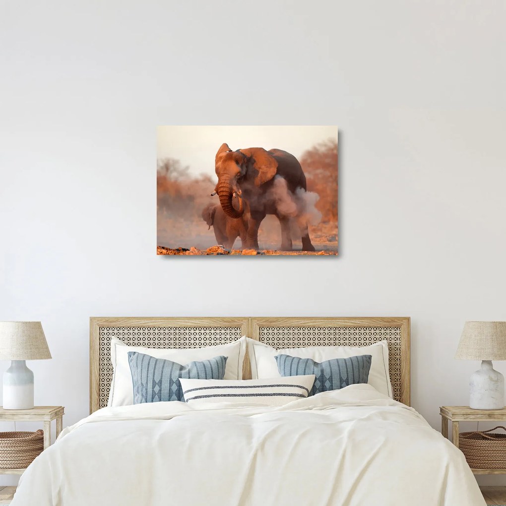 Tablou pe sticlă - Marele elefant african (70x50 cm)