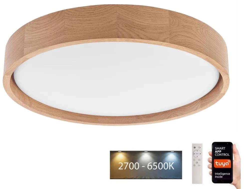 Brilagi - Plafonier MANAROLA SMART LED 24W 230V cu telecomandă Tuya
