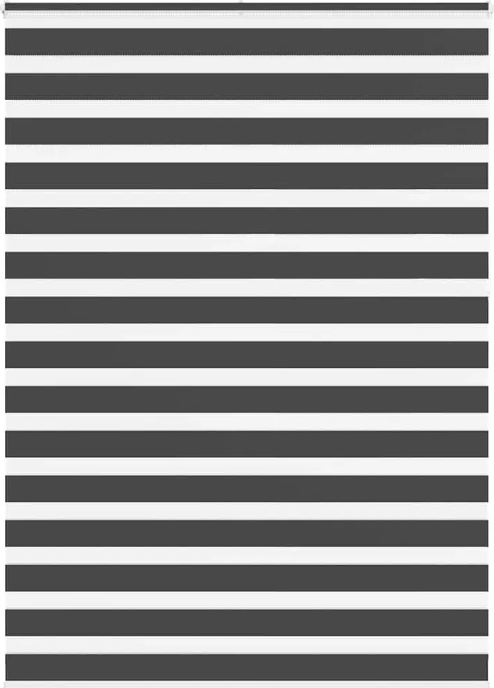 vidaXL Jaluzea tip zebra neagră lățime țesătură 160,9 cm poliester