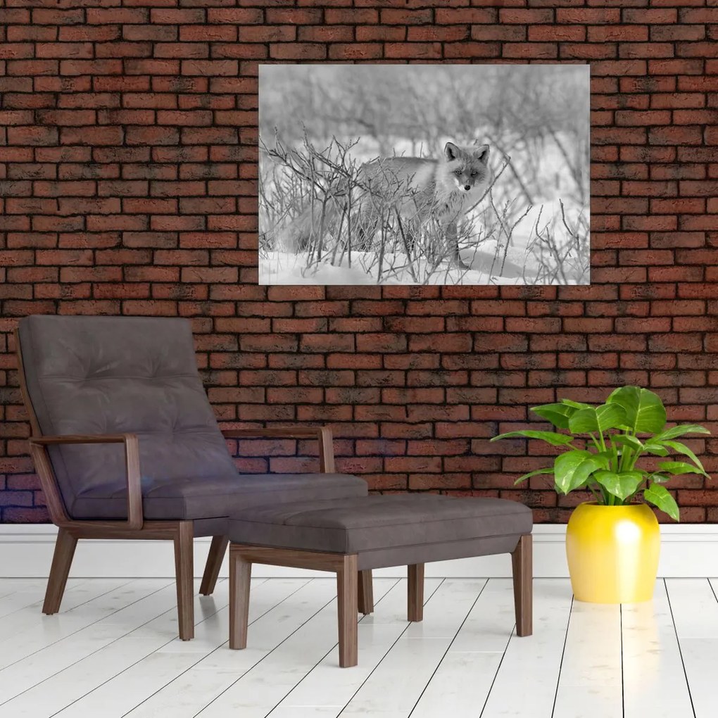 Tablou - Vulpe,alb-negru (90x60 cm)