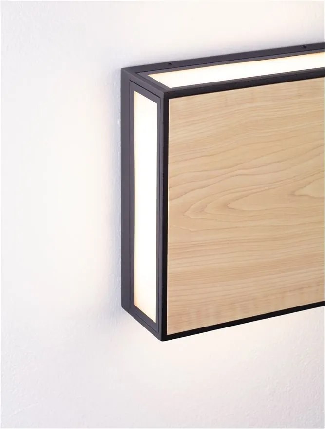 Aplica de perete LED iluminat exterior decorativ IP65 ASTRAL
