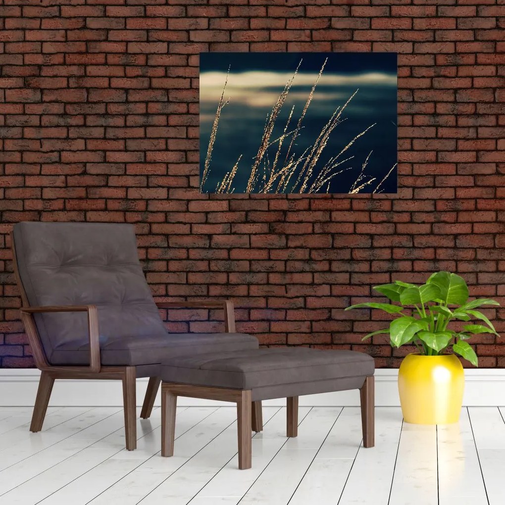 Tablou pe sticlă cu ierburi (70x50 cm)