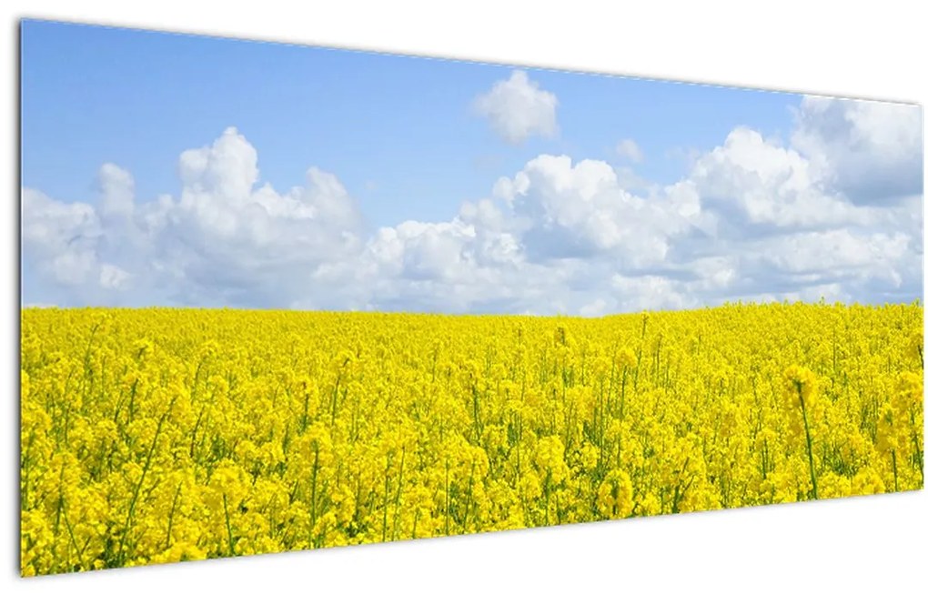 Tablou - Câmp galben (120x50 cm)