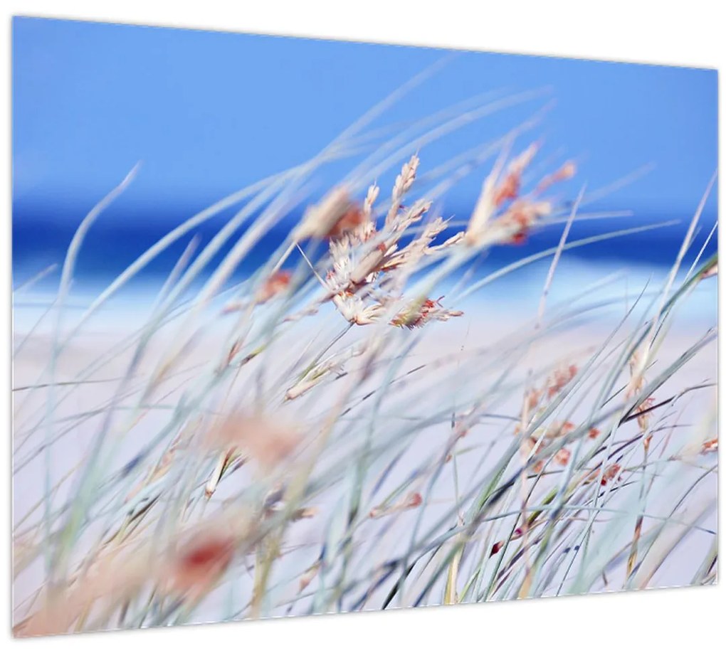 Tablou - Briză (70x50 cm)