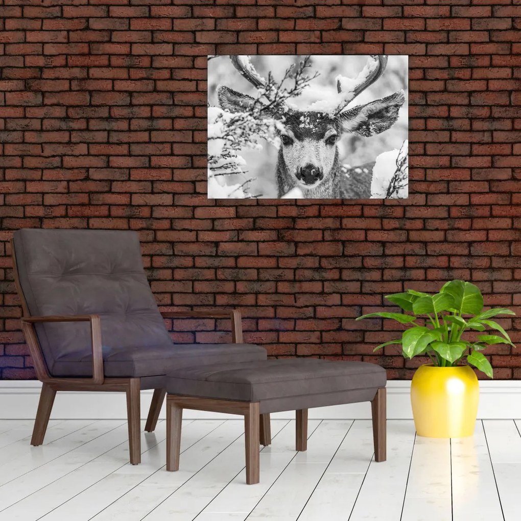 Tablou pe sticlă - Cerb în timpul iernii (70x50 cm)