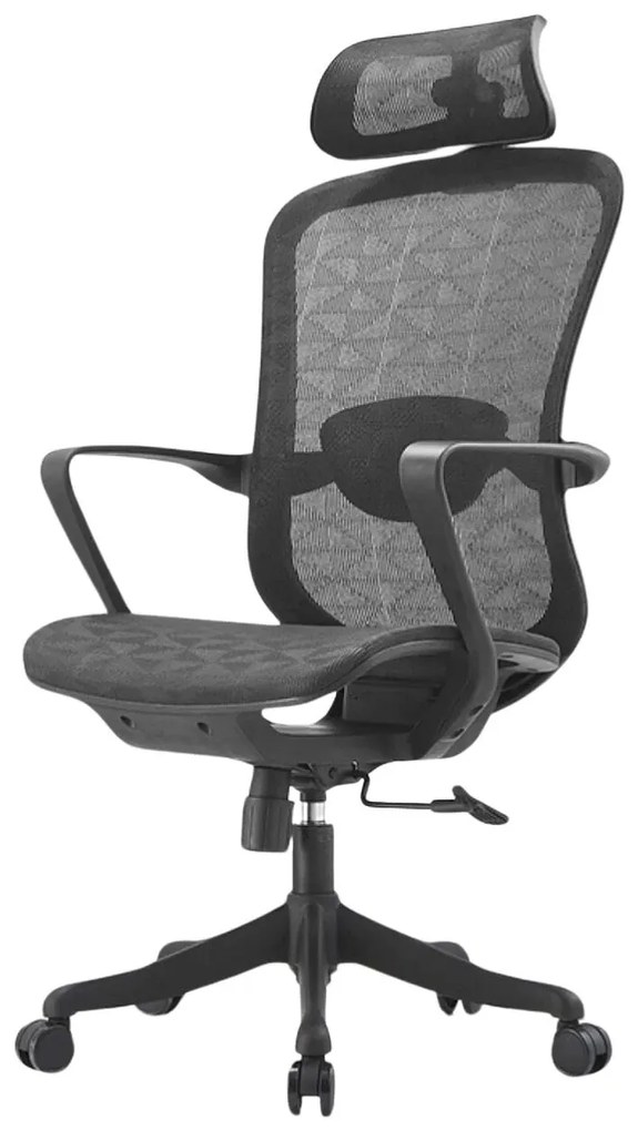 Scaun ergonomic Ella-H, mecanism inclinare/blocare, tetiera si suport lombar reglabile, Mesh, Negru