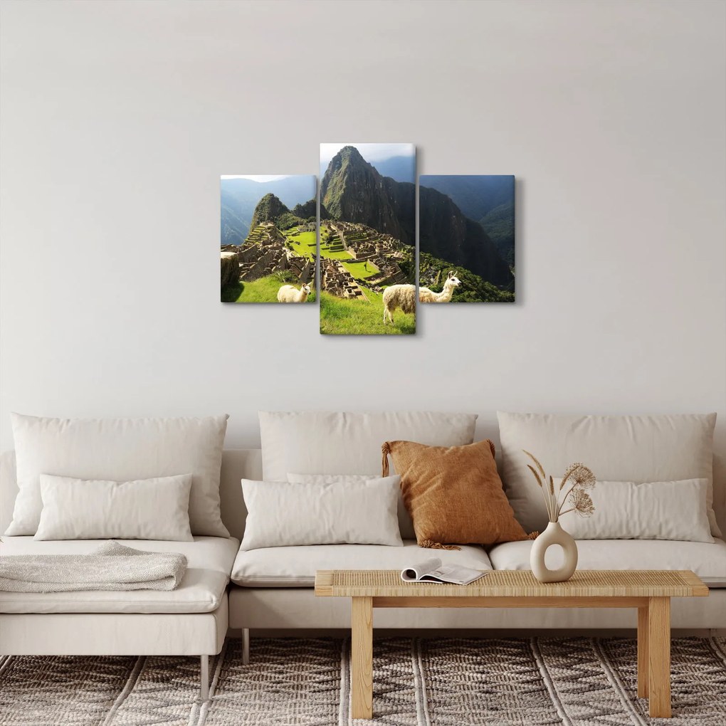 Tablou - Lame in Machu Picchu (90x60 cm)