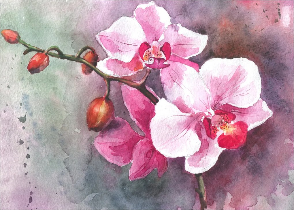 Tablou - Orhidee, acvariu (70x50 cm)
