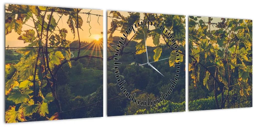 Tablou - Podgorii (cu ceas) (90x30 cm)