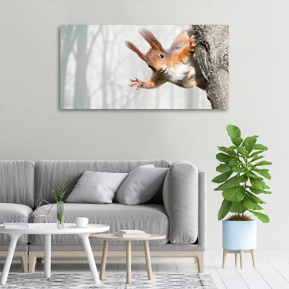 Imprimare tablou canvas Veveriţă