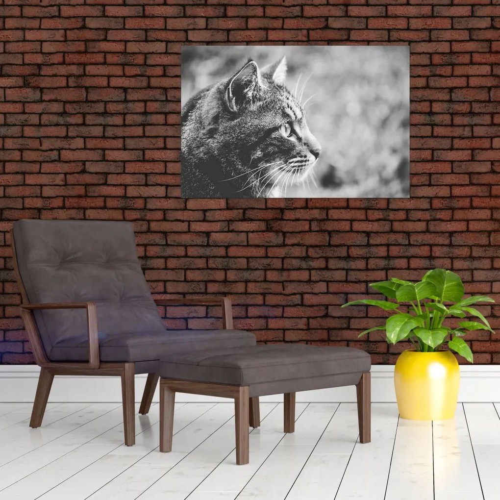 Tablou - Pisica (90x60 cm)