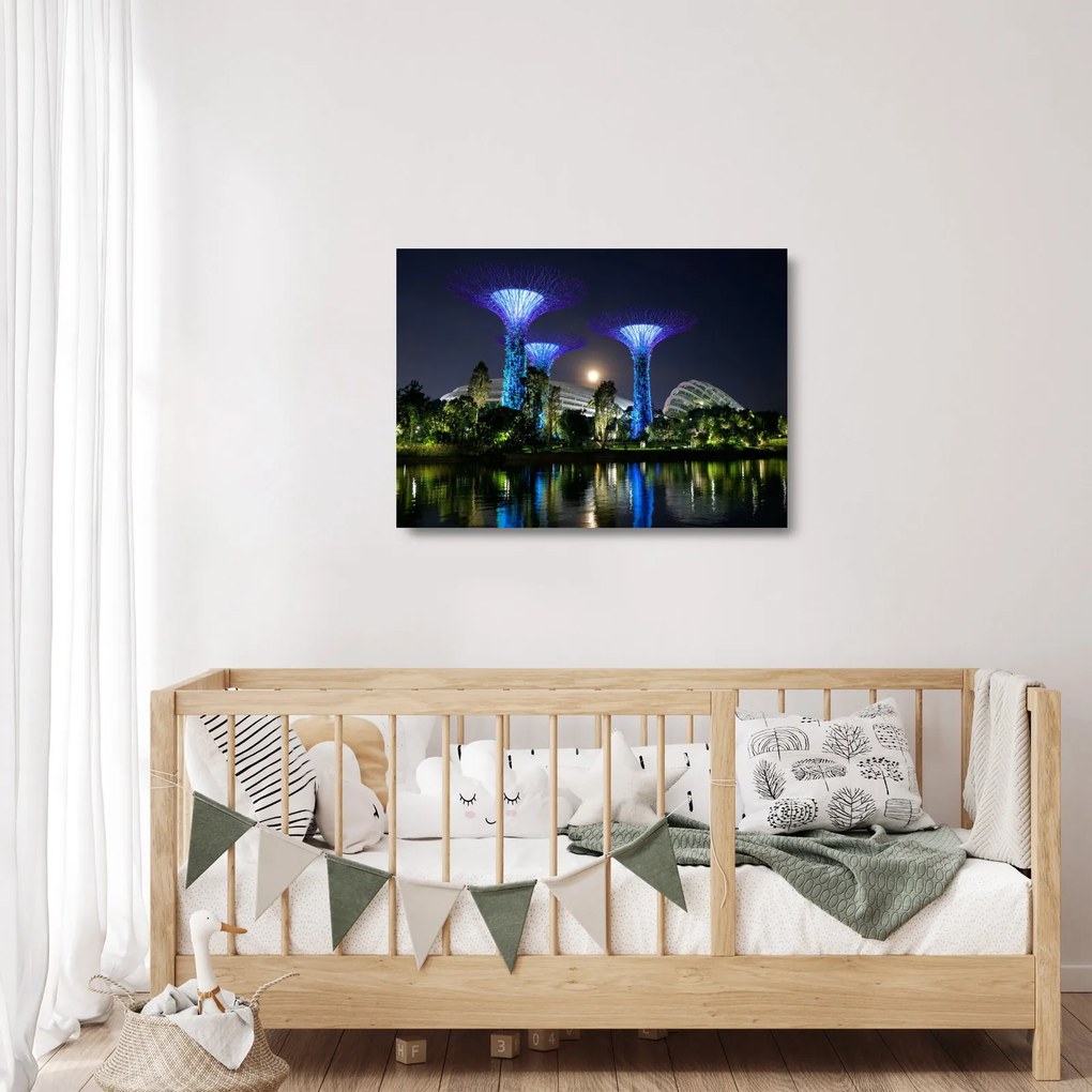 Tablou pe sticlă cu lună plină în grădinile din Singapur (70x50 cm)